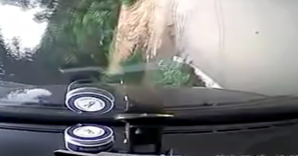 Driving test failed 10 seconds in as car flips
