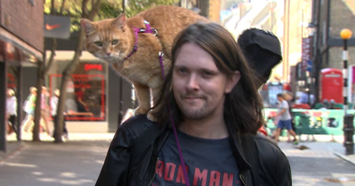Stray cat inspires recovering addict to change his life