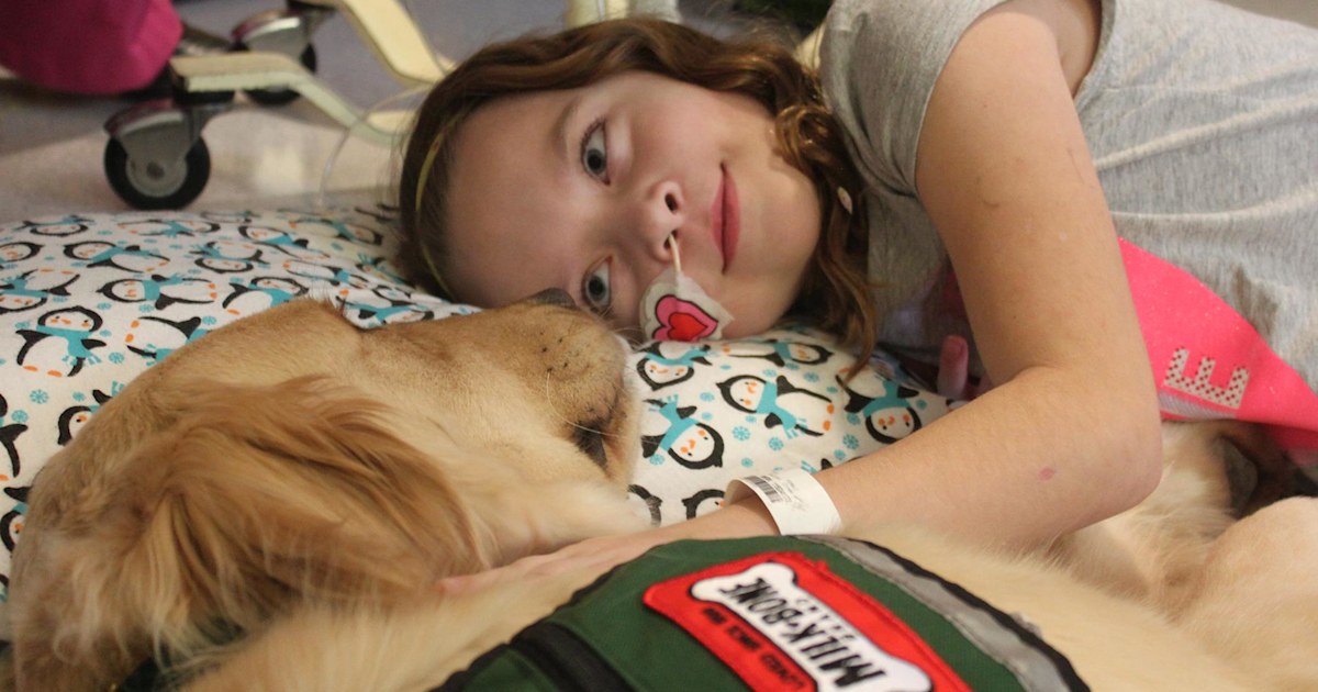Therapy dogs bring joy, happiness back to kids at children’s hospital