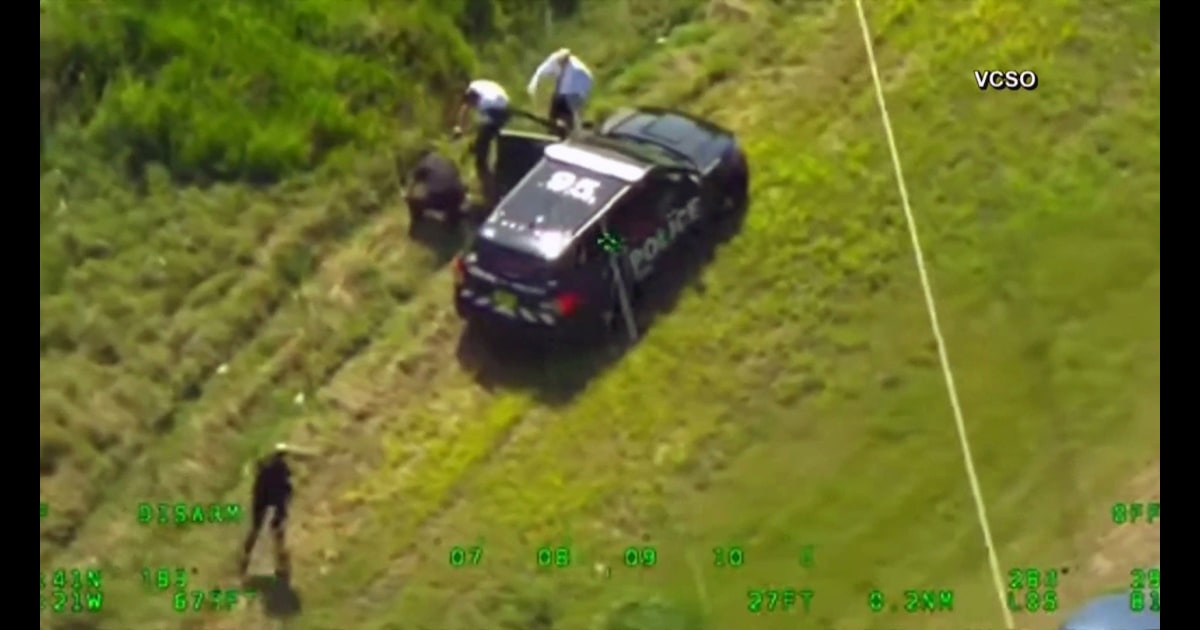 Florida man steals 2 police cars, leads officers on wild chase