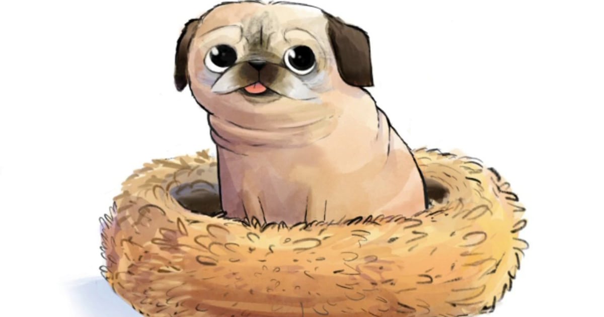 Noodle the pug to star in his own picture book