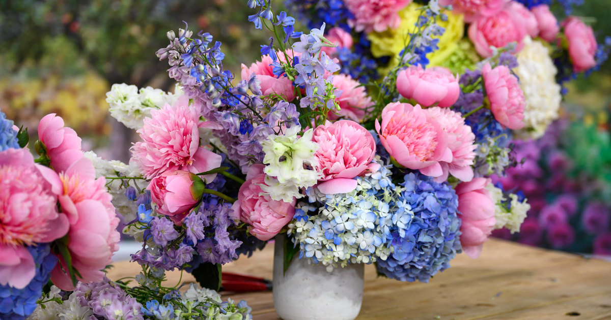 Flower arranging 101 Tips and tricks for beautiful bouquets