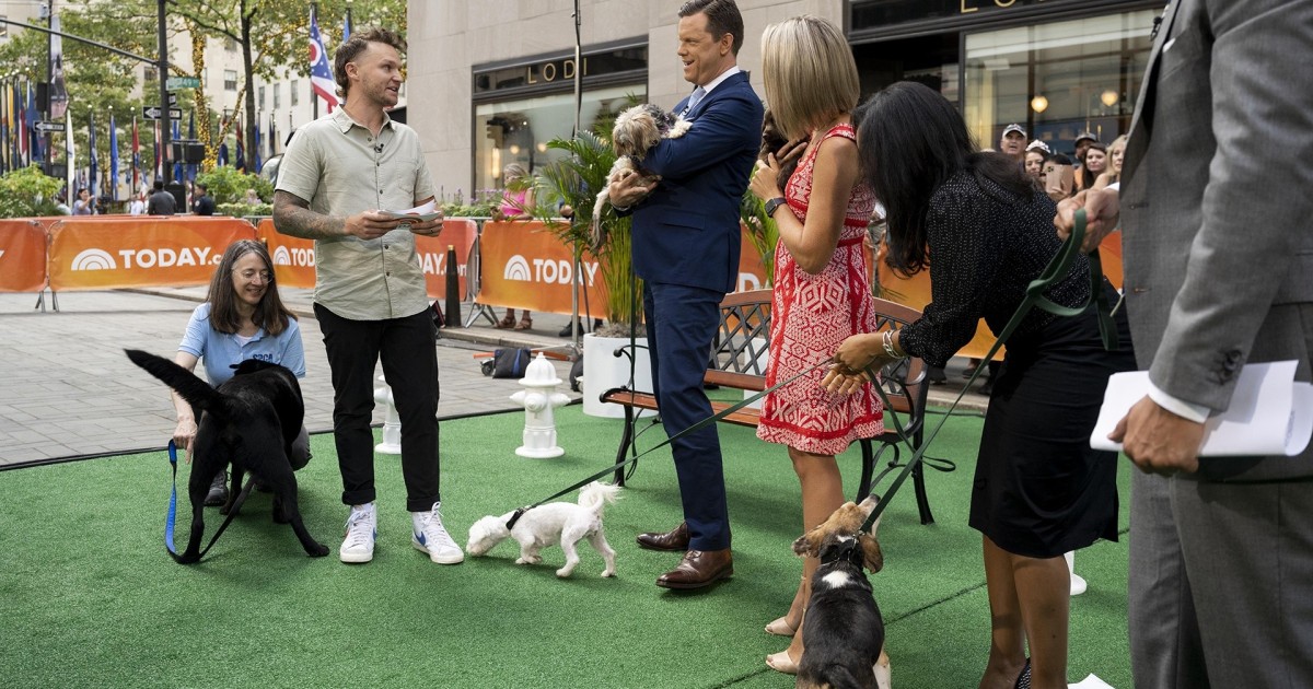 Pet adoption tips: Dog trainer lays out what you need to know