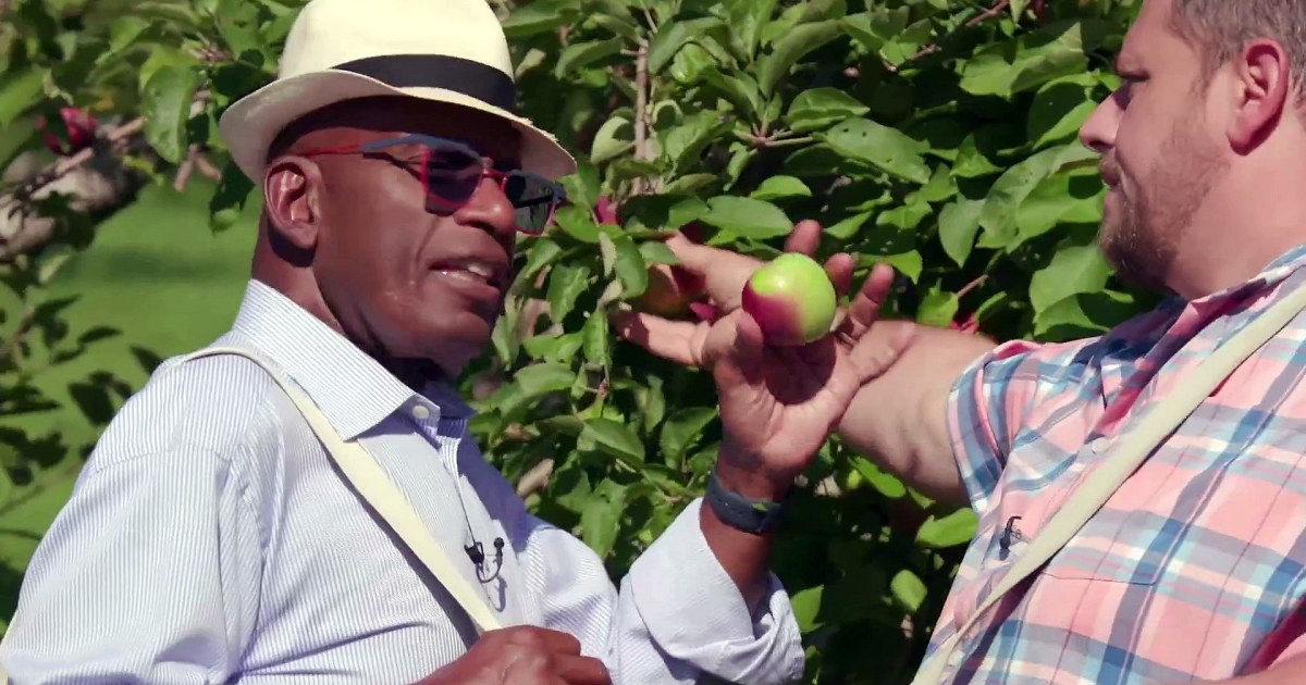 Macpo Al Reker TODAY's Al Roker learns the right (and wrong) way to pick an apple