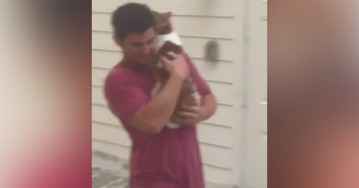 Man braves rushing water to rescue cat during Hurricane Ian