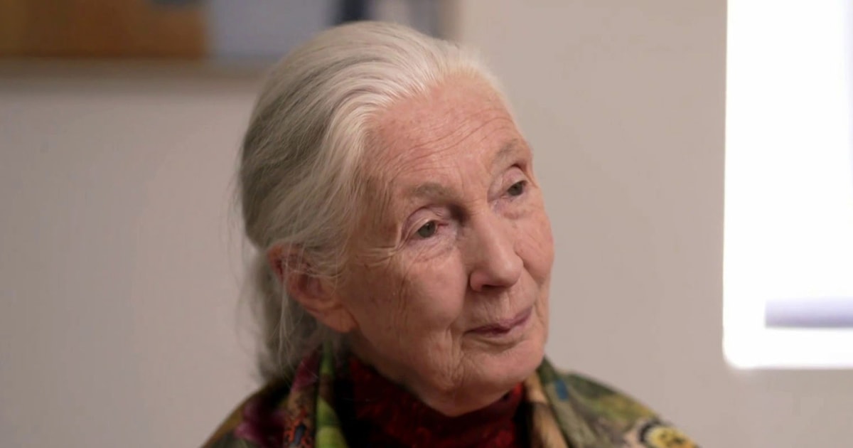 Dr. Jane Goodall reflects on her legendary career, hope for future