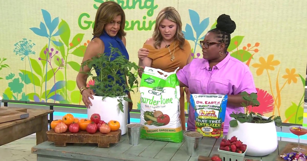 Tips and products to get your veggie garden growing this summer