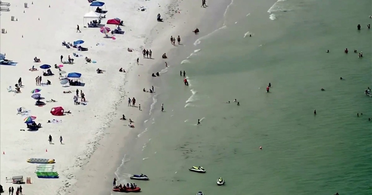 Beaches on high alert after string of shark sightings and attacks ...