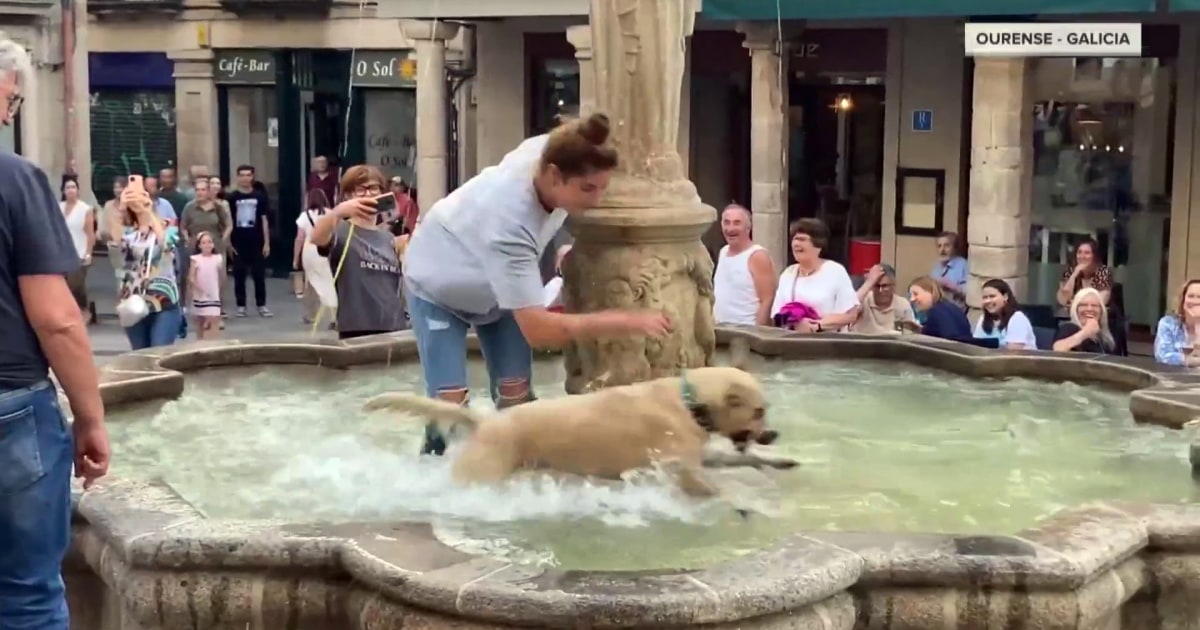 A dog sneaks into a fountain to beat the summer heat in Spain
