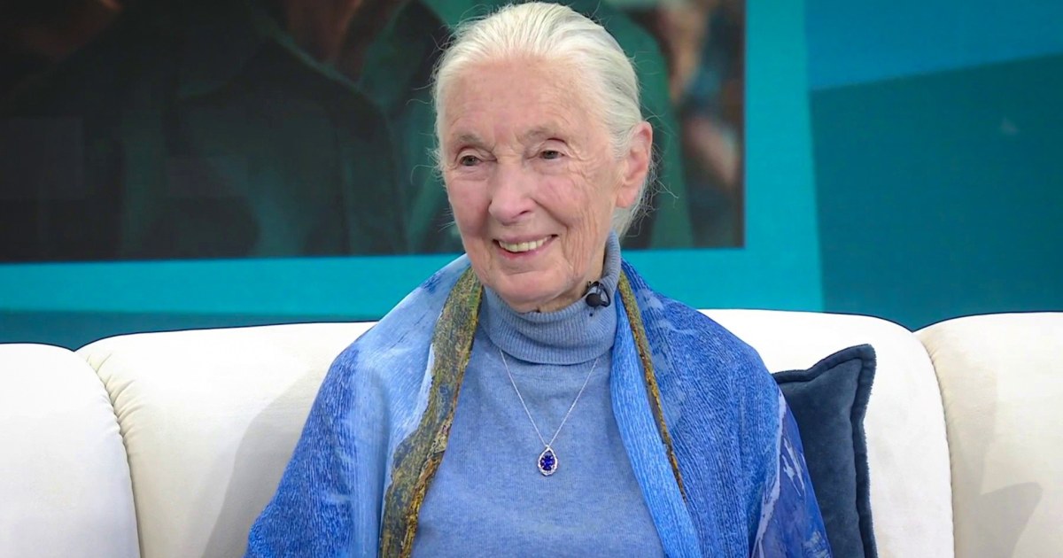 Jane Goodall on turning 90, what she