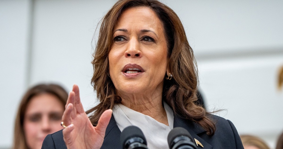 Kamala Harris earns enough delegates for Democratic nomination