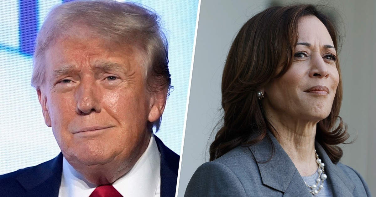 Trump appears likely to debate Harris as campaigns heat up Trump appears likely to debate Harris as campaigns heat up