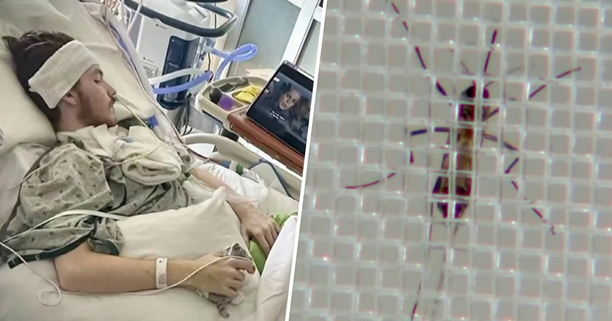 Two families sound alarm over dangerous mosquito-borne illnesses