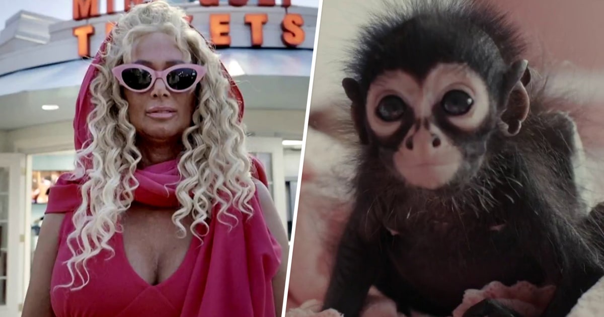 ‘Chimp Crazy’ dives into the eccentric world of ‘monkey moms’