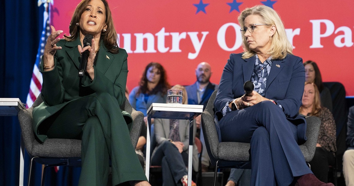 Liz Cheney helps Kamala Harris make case for Republican support