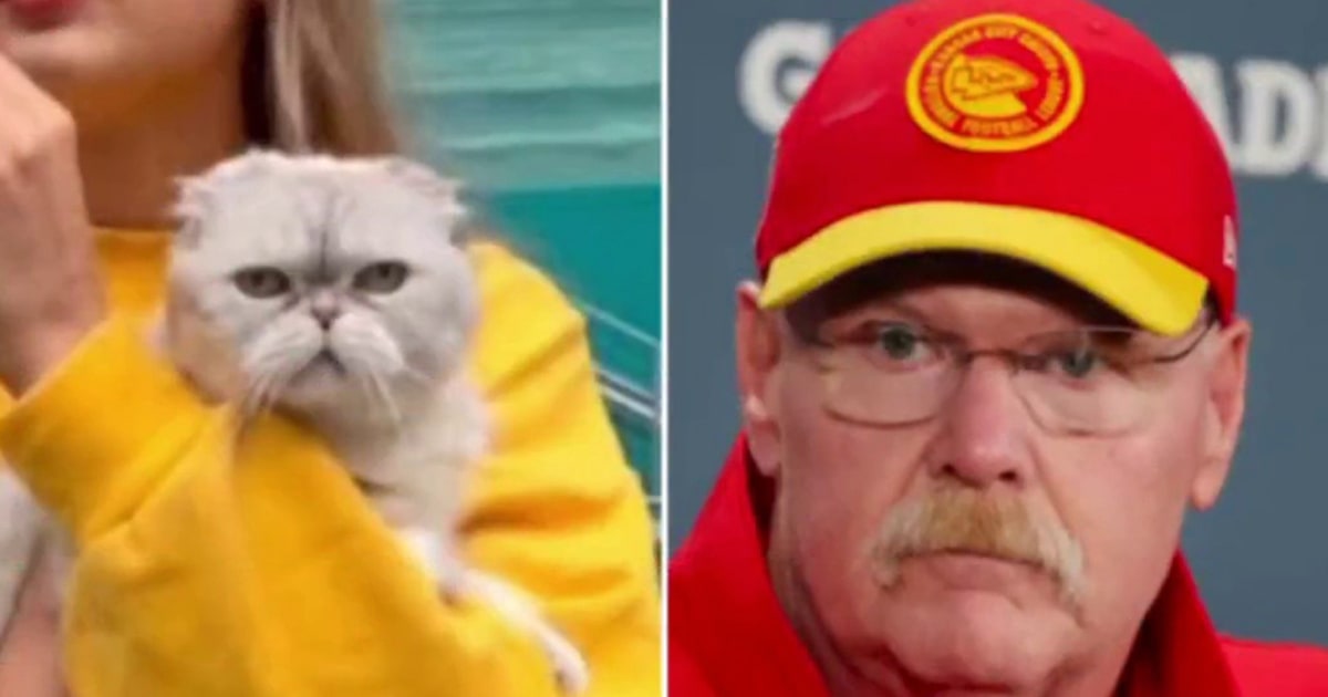 KC Chiefs' Andy Reid goes viral for comparison to Taylor Swift's cat