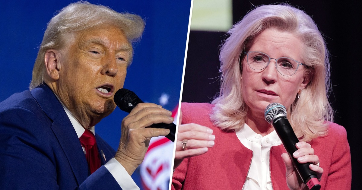 Donald Trump attacks Liz Cheney using violent language