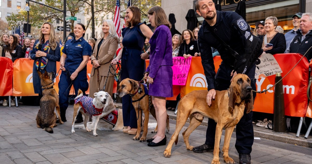 Dog crowned America's Hero Dog live