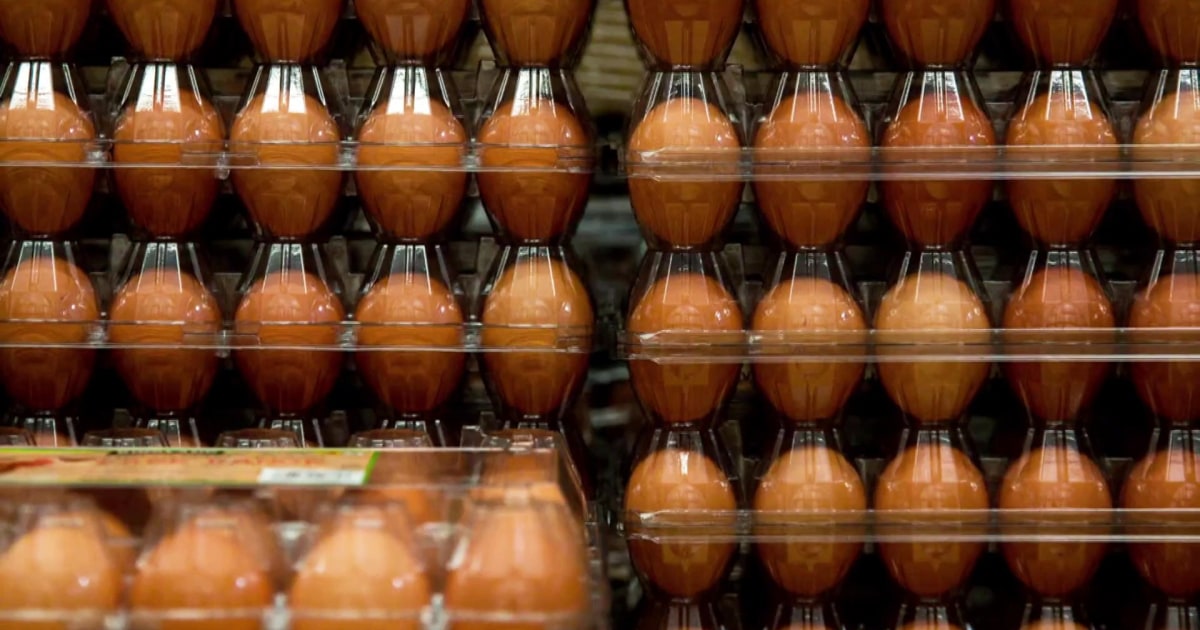 FDA raises Costco egg recall to highest risk level