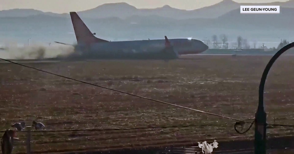 179 dead after plane crashes at South Korean airport