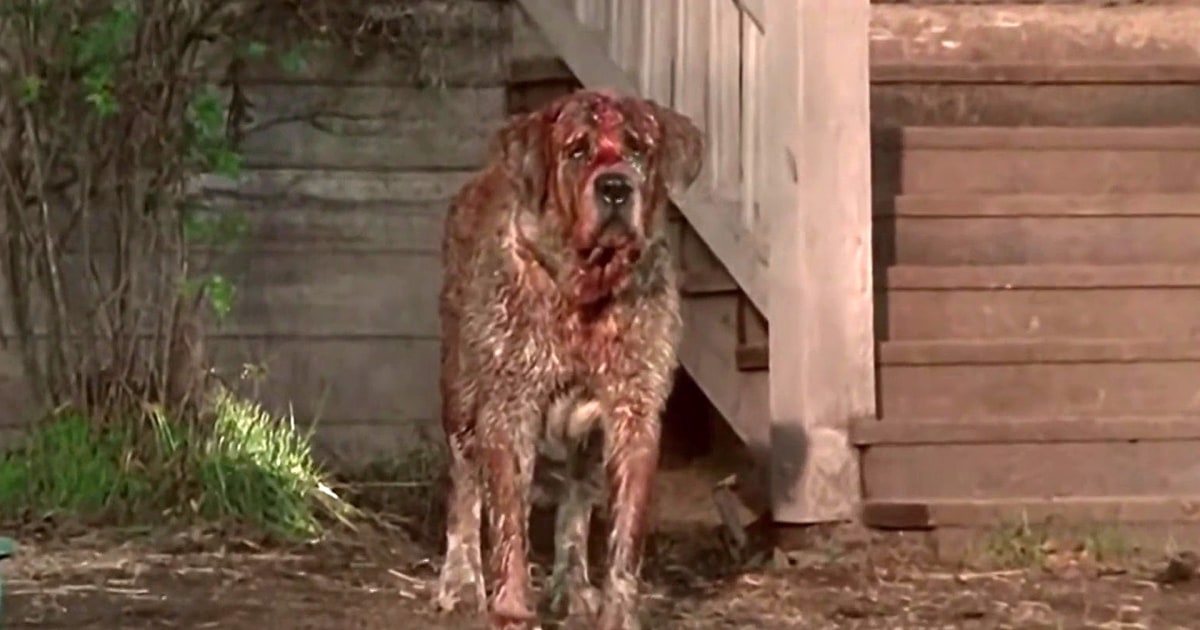 Netflix to remake the classic Stephen King horror film ‘Cujo’