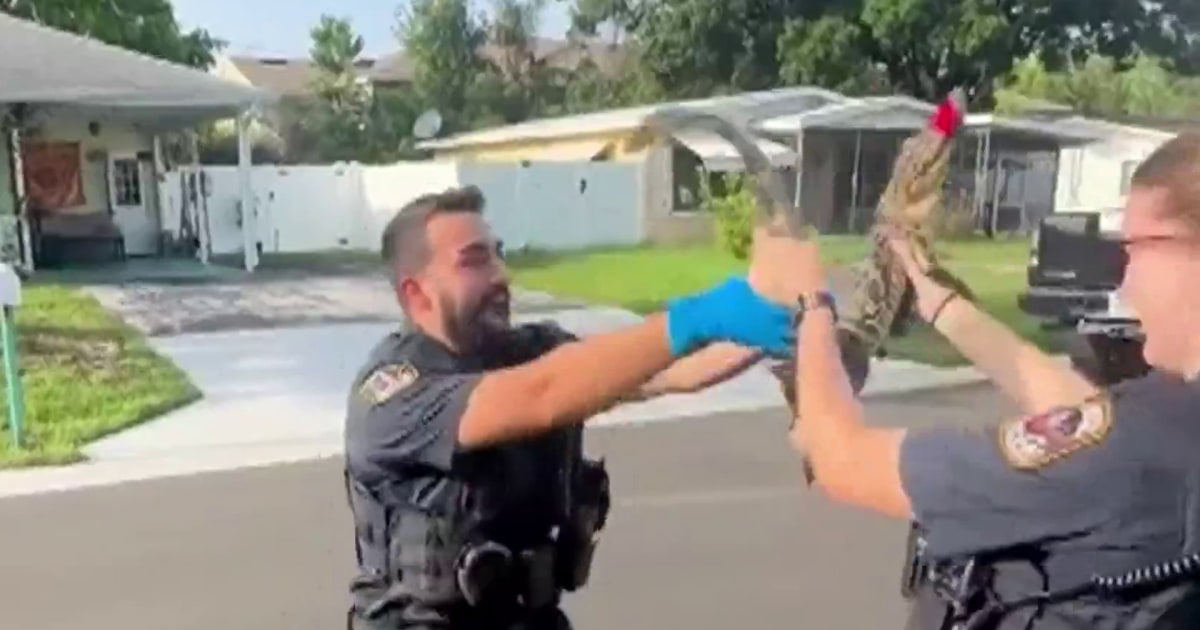 Police Officer Squeals During First Alligator Call in Florida