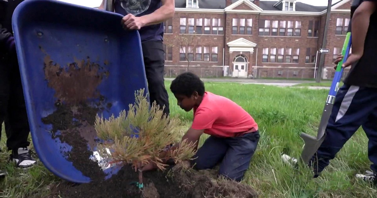 Kids Plant California’s Famous Sequoia Trees in Detroit