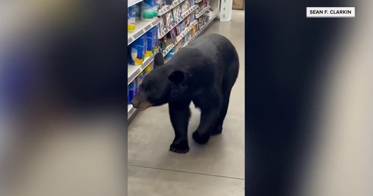 Lead Disclosure Law NJ Governor Way Signs Bill News Usa Today