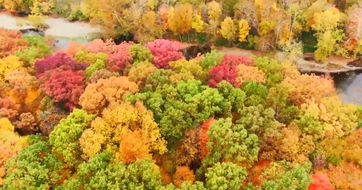 Here Are the Best Road Trips to See Fall Foliage in 2025