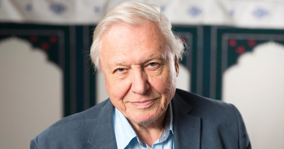 David Attenborough Sets Emmy Record At 99 Years Old david-attenborough-sets-emmy-record-at-99-years-old