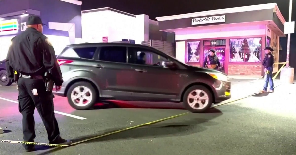 At Least Four Killed in Shooting at California Child's Birthday Party