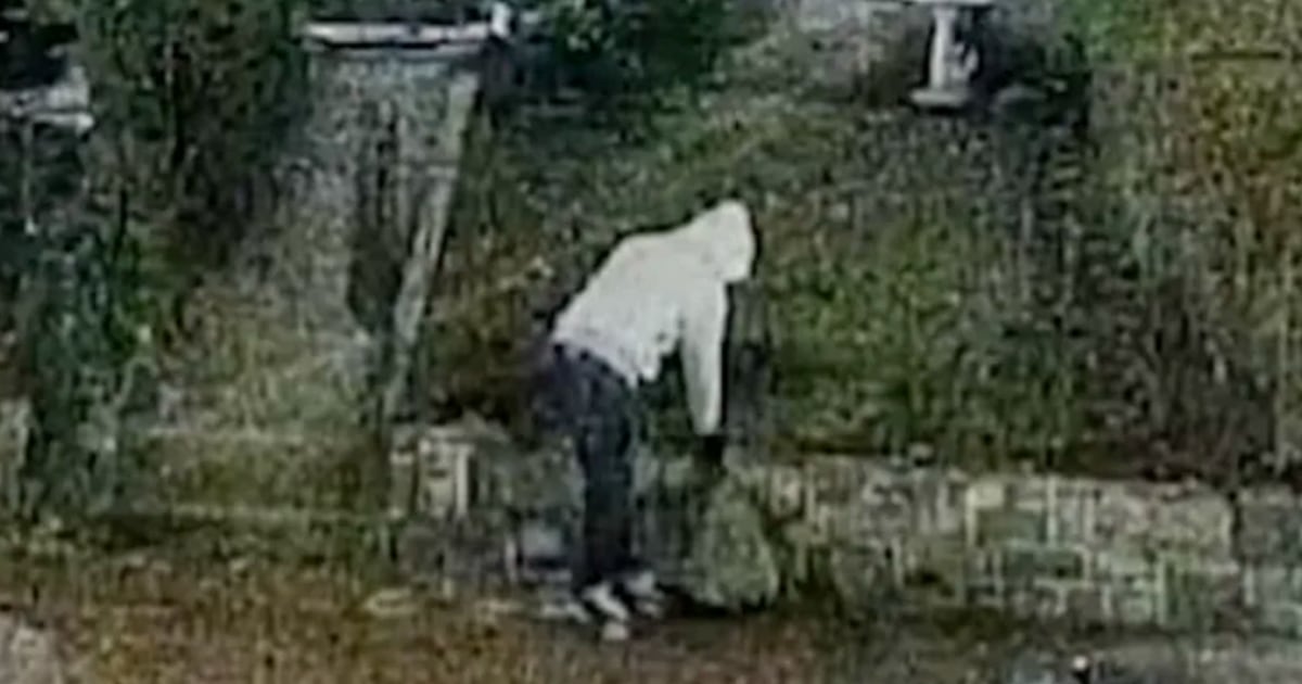 Suspect Arrested in January 2021 DC Pipe Bomb Case