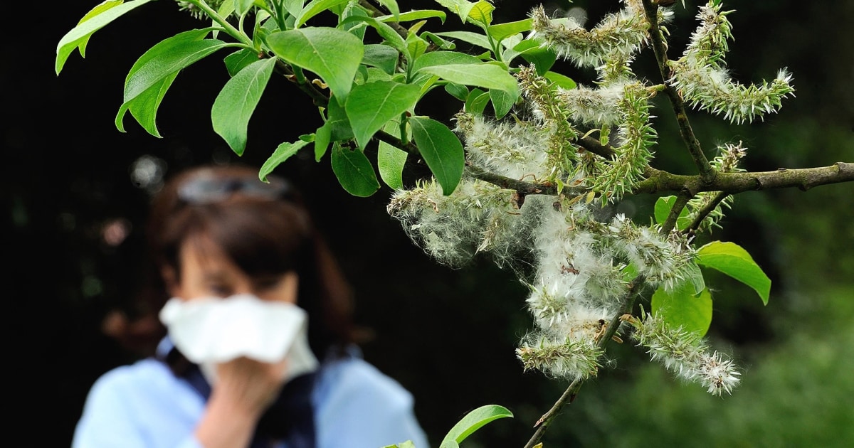 How to Get a Jump Start on Allergy Relief Ahead of Spring  www.today.com