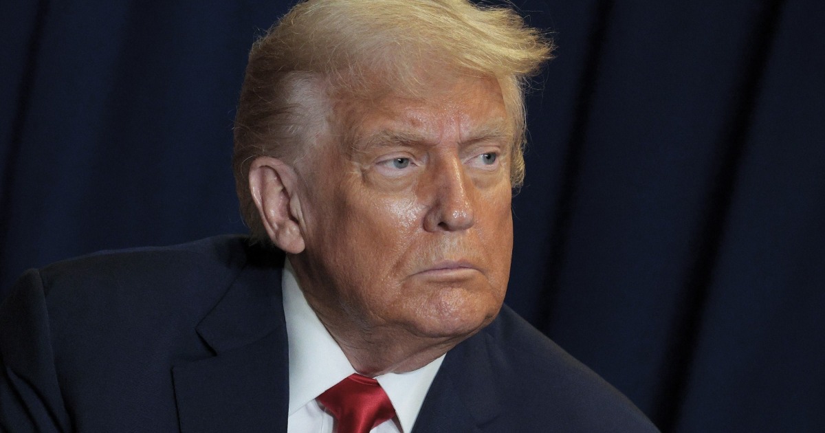 Trump's Dispatch of ICE to Airports Adds Pressure to DHS Battle