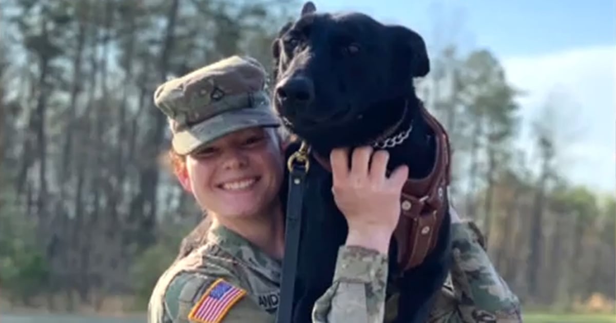 See Army Veteran's Sweet Reunion With Bomb-Sniffing K9 Partner
