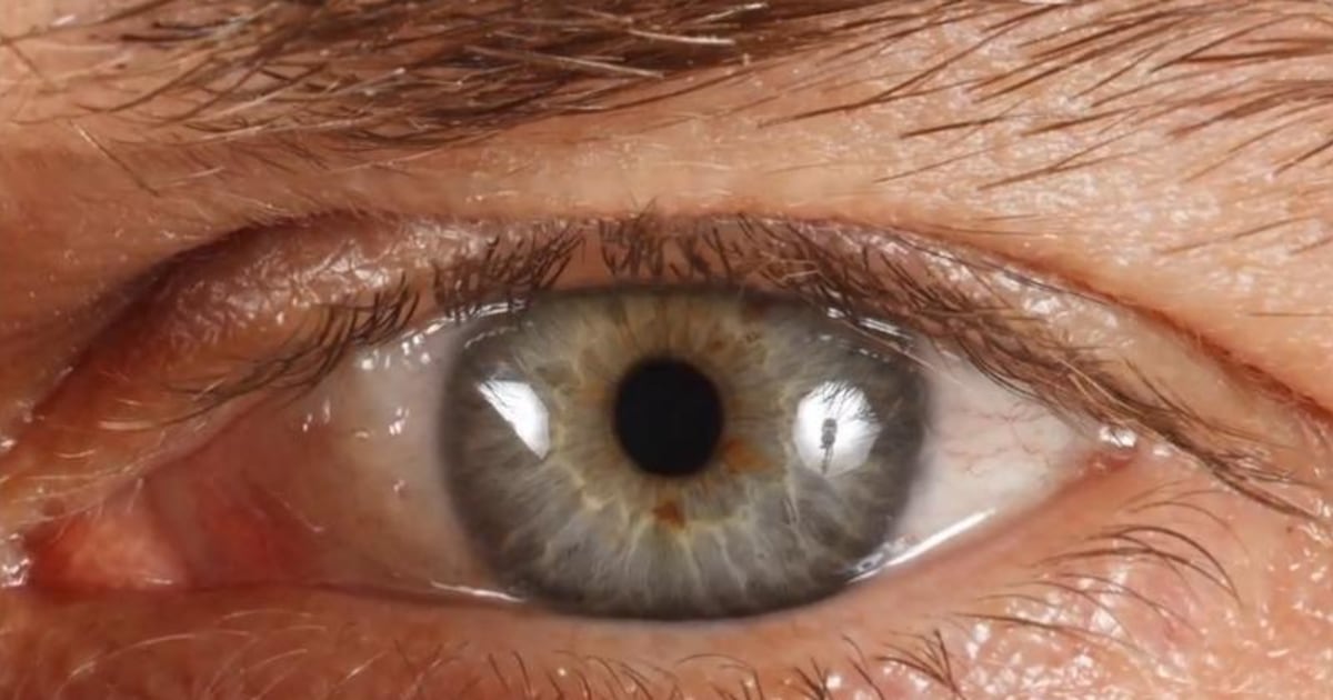 Unnerving 900-Megapixel Portraits Seem to Stare Back