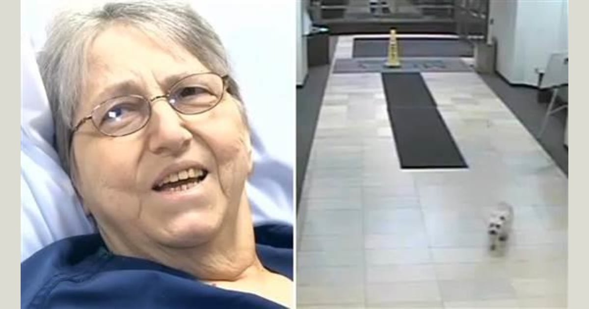 Dog walks 20 blocks from home to visit cancer-fighting owner in Iowa ...