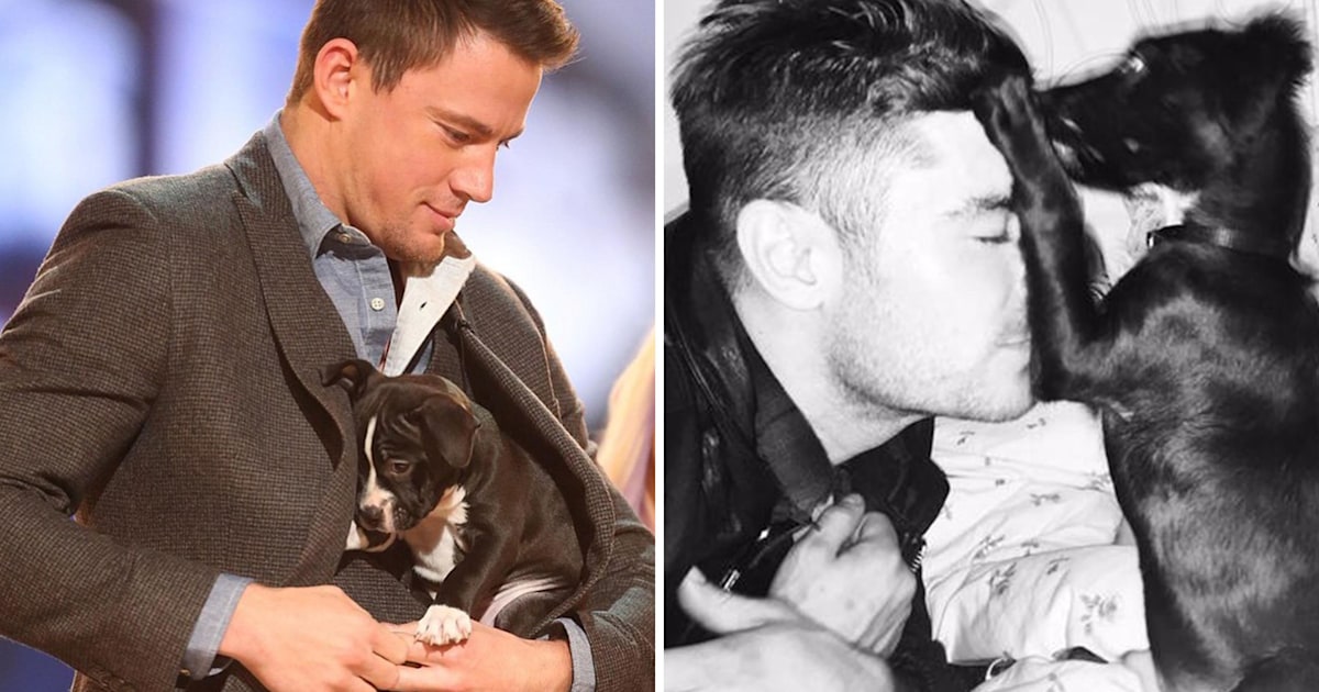 National Puppy Day photos from Zac Efron, Channing Tatum and other stars