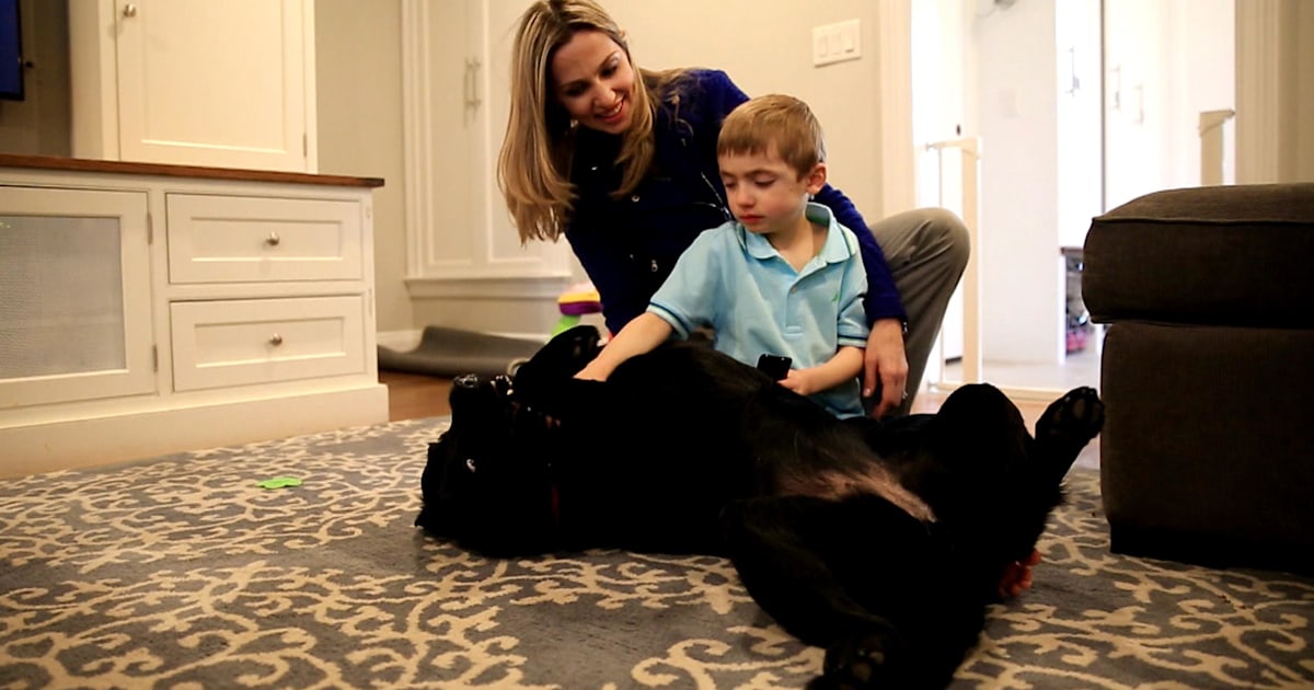How a service dog changed the lives of a boy with autism and his family
