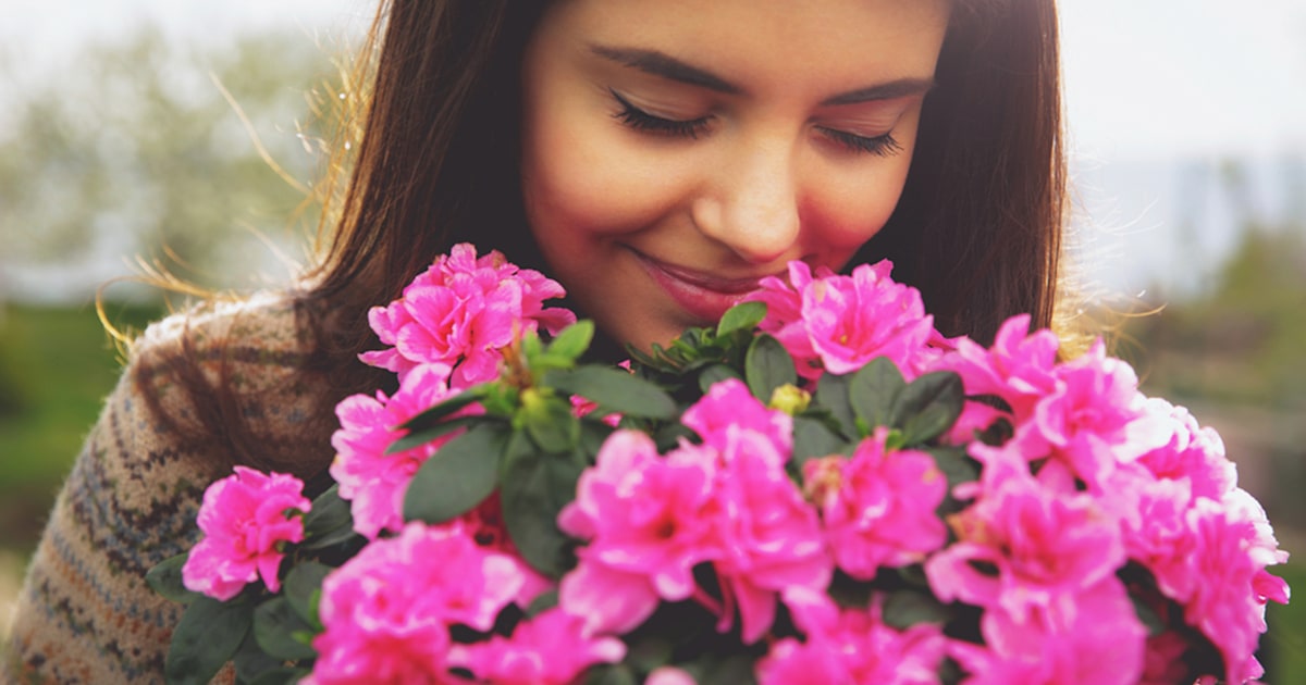 Cut grass, suntan lotion The nostalgia of summer scents