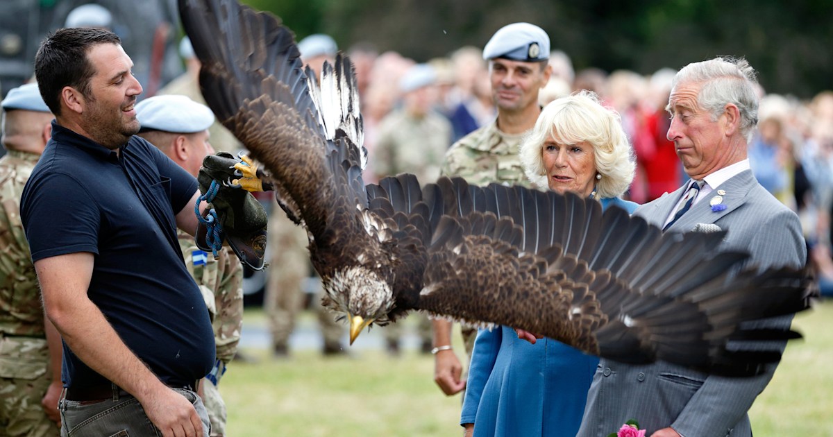 Prince Charles And Camilla S Reaction To This Rowdy Bald Eagle Is Priceless
