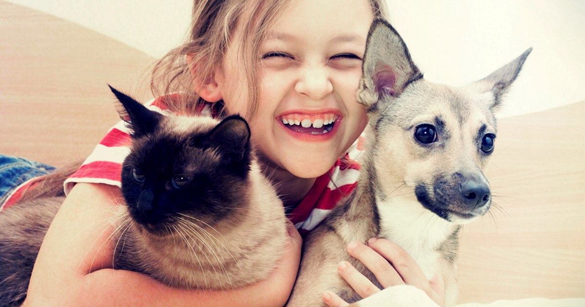 How to find the perfect family pet