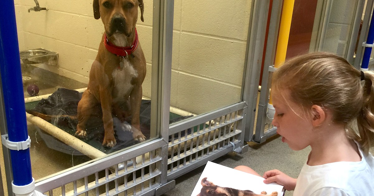 Kids get shelter dogs' tails wagging by reading them tales
