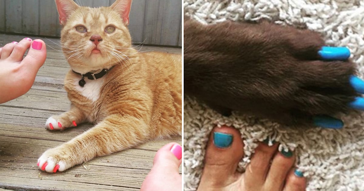 Soft Paws nail caps let pets match their owners manis