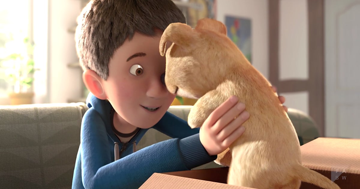 In "The Present" a boy shares special bond with new puppy