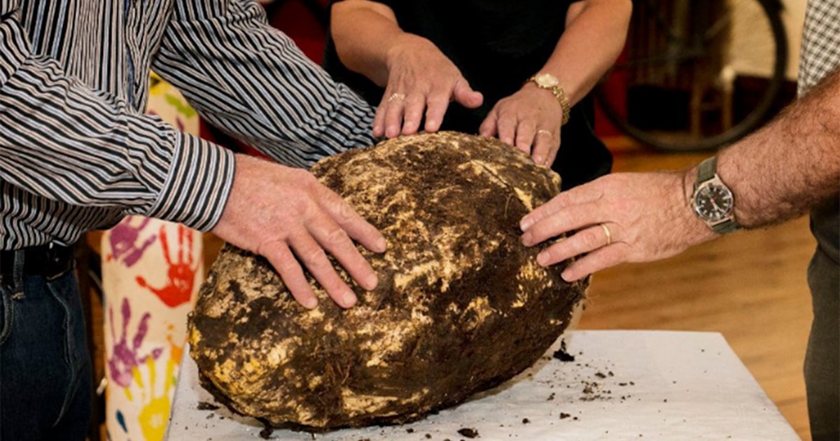 Can’t believe it! 2,000yearold butter found in Irish bog