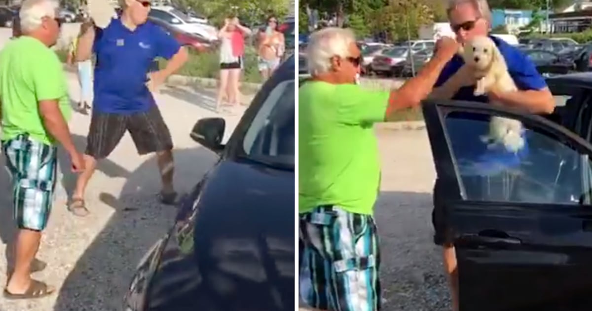 Man breaks window of BMW to rescue dog trapped in hot car