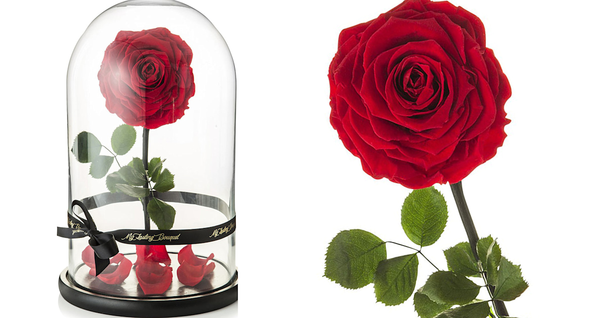 Beauty and the beast rose for sale online