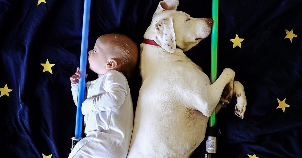This dog and baby love to cuddle, and we can't get enough