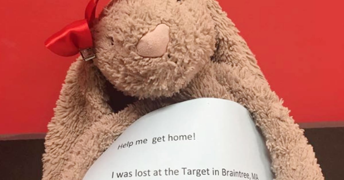 Stuffed bunny lost at Target sparks Internet search